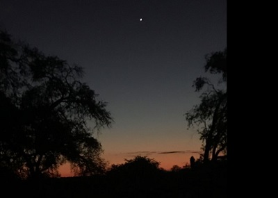 Foto van de morgenster